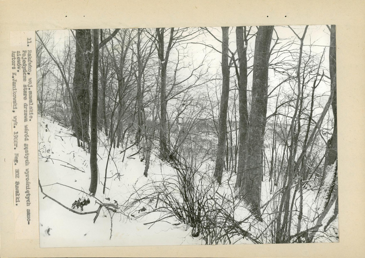 Ewidencja parkowa, skan nr 34