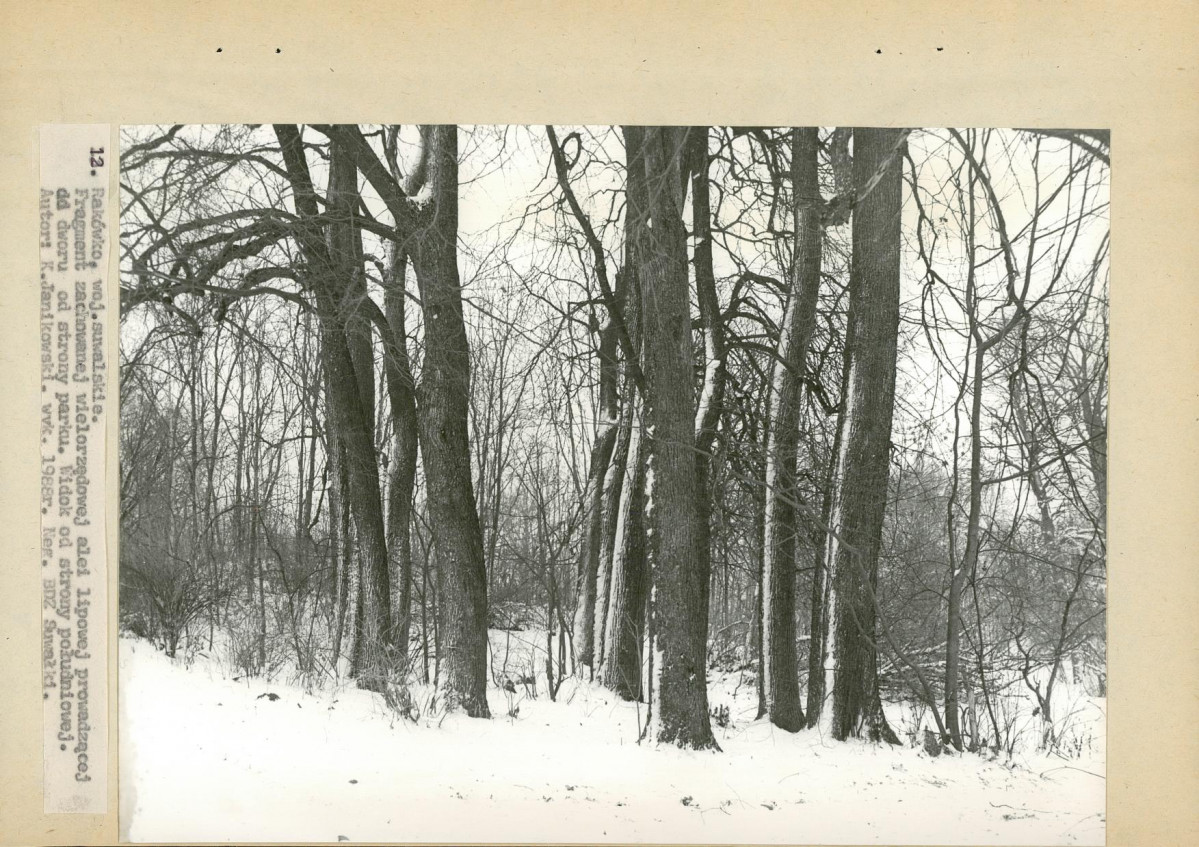 Ewidencja parkowa, skan nr 35