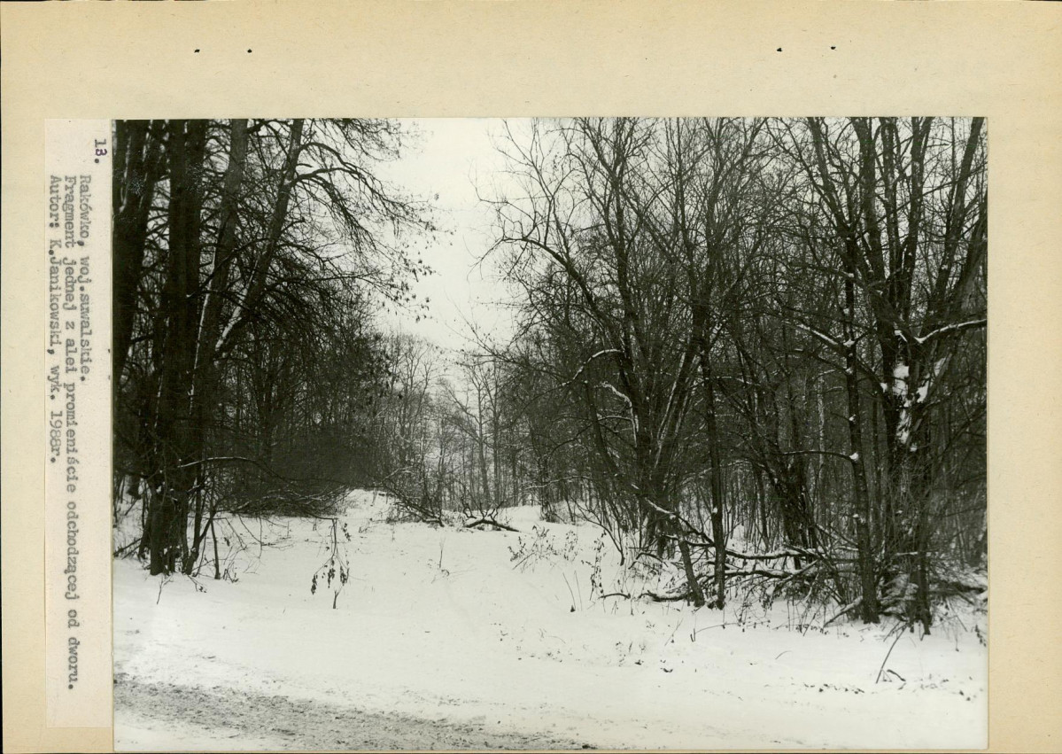 Ewidencja parkowa, skan nr 36