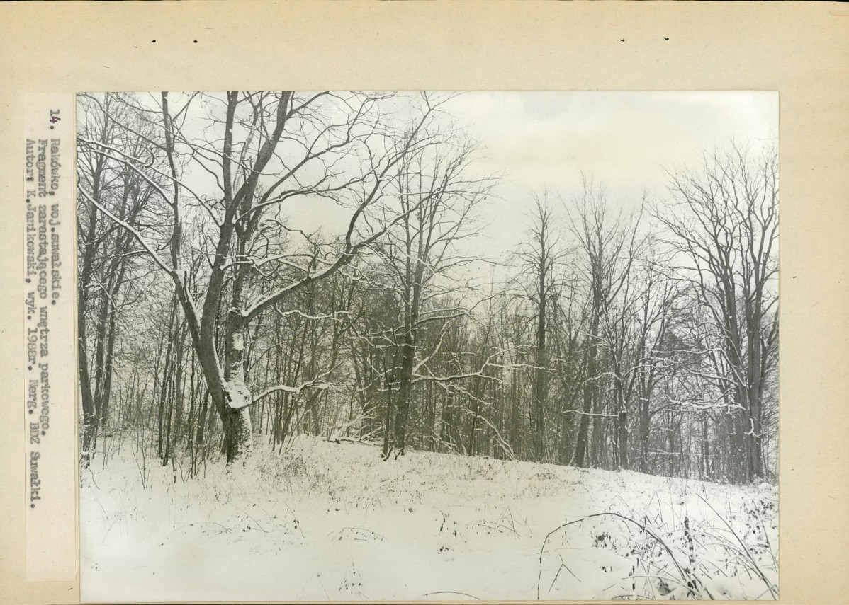 Ewidencja parkowa, skan nr 37