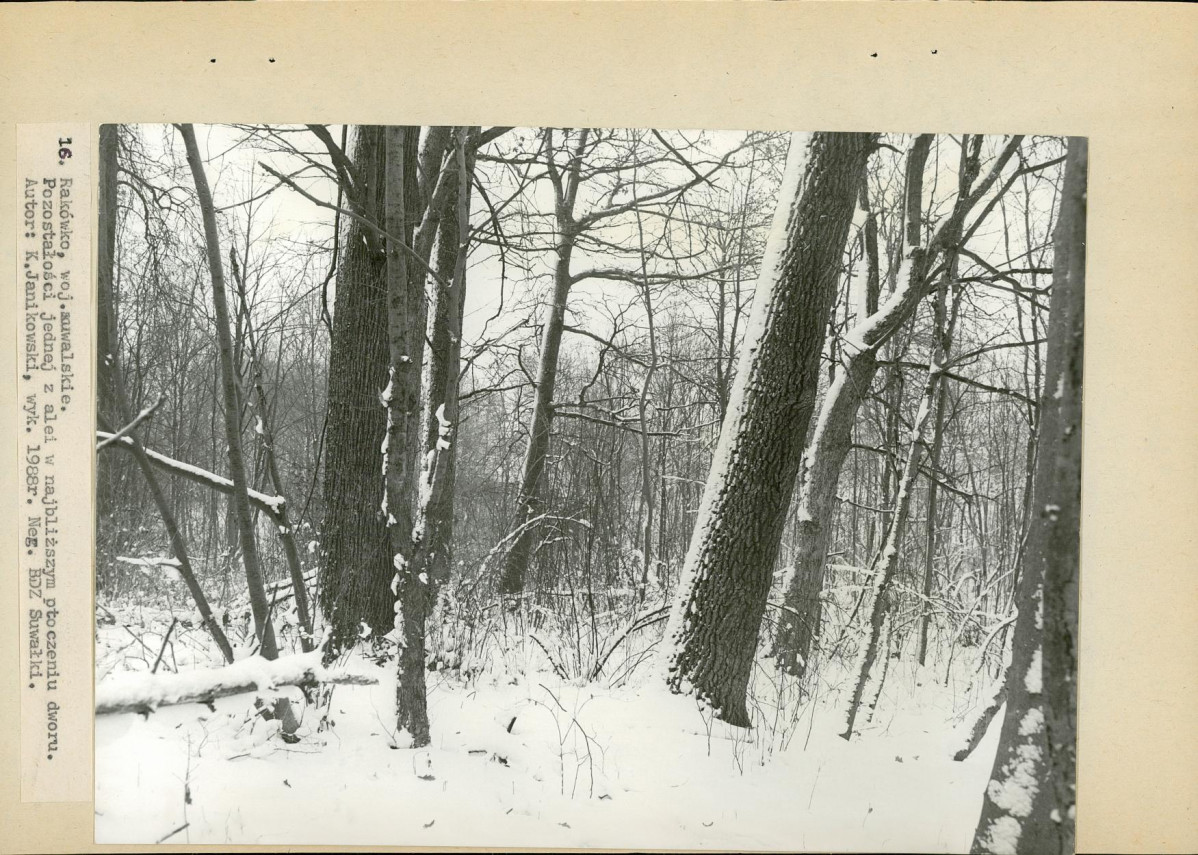 Ewidencja parkowa, skan nr 39