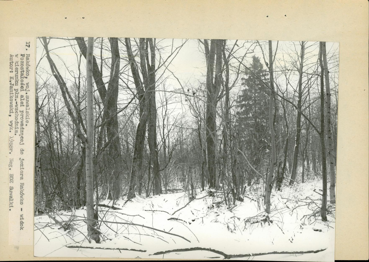 Ewidencja parkowa, skan nr 40