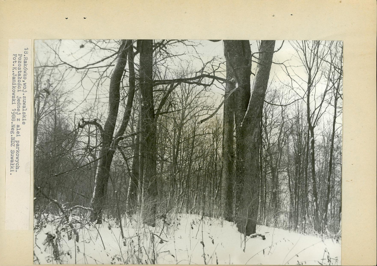 Ewidencja parkowa, skan nr 41