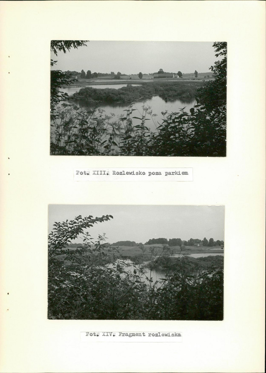 Ewidencja parkowa, skan nr 34