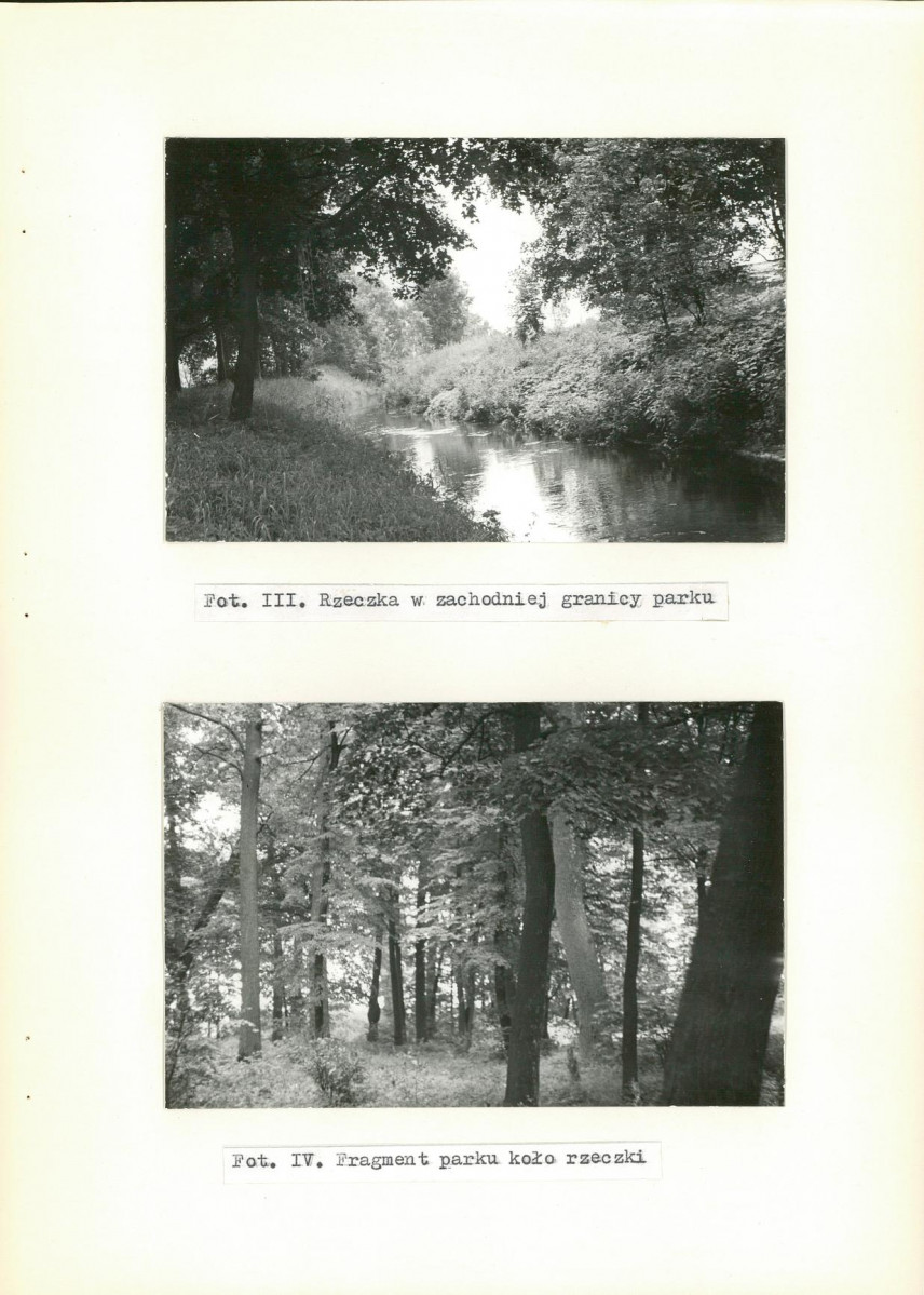 Ewidencja parkowa, skan nr 29