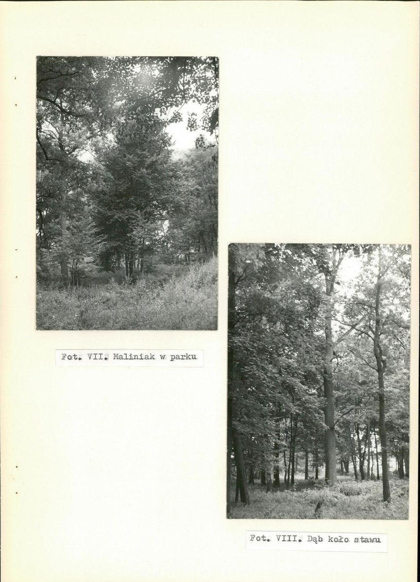 Ewidencja parkowa, skan nr 31