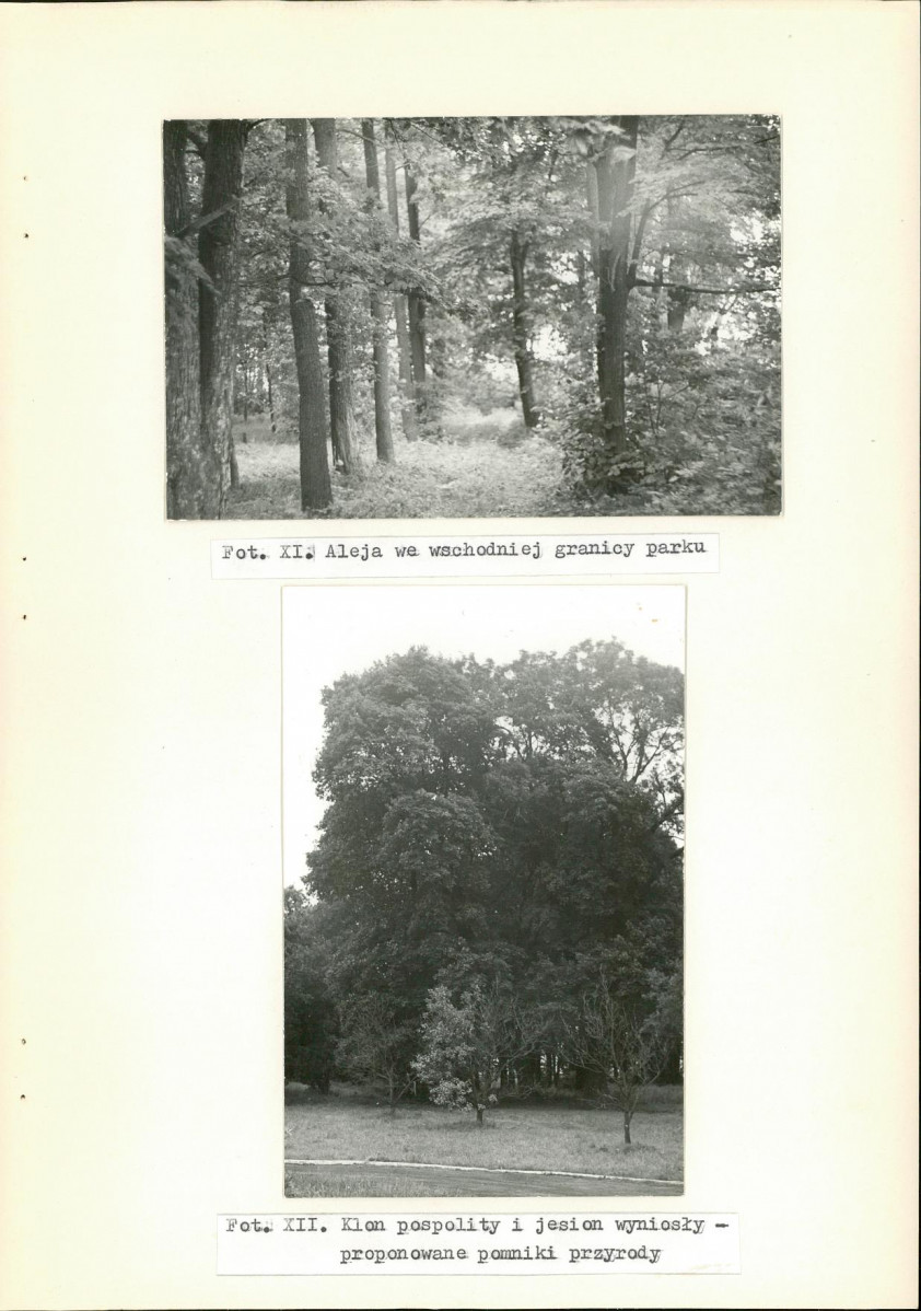 Ewidencja parkowa, skan nr 33