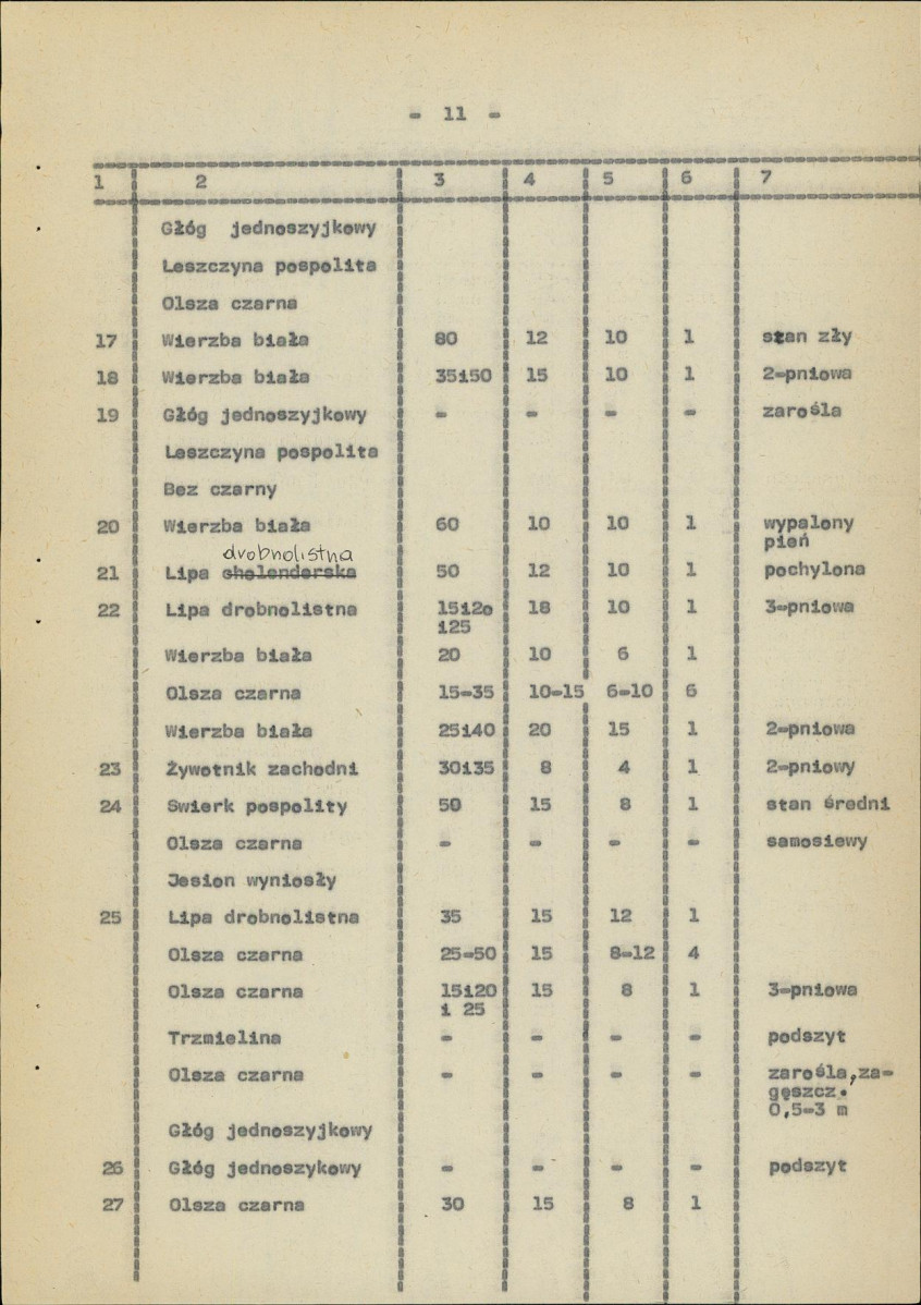 Ewidencja parkowa, skan nr 19