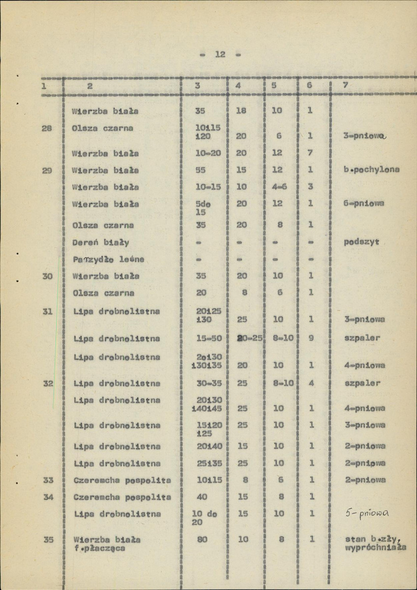 Ewidencja parkowa, skan nr 20