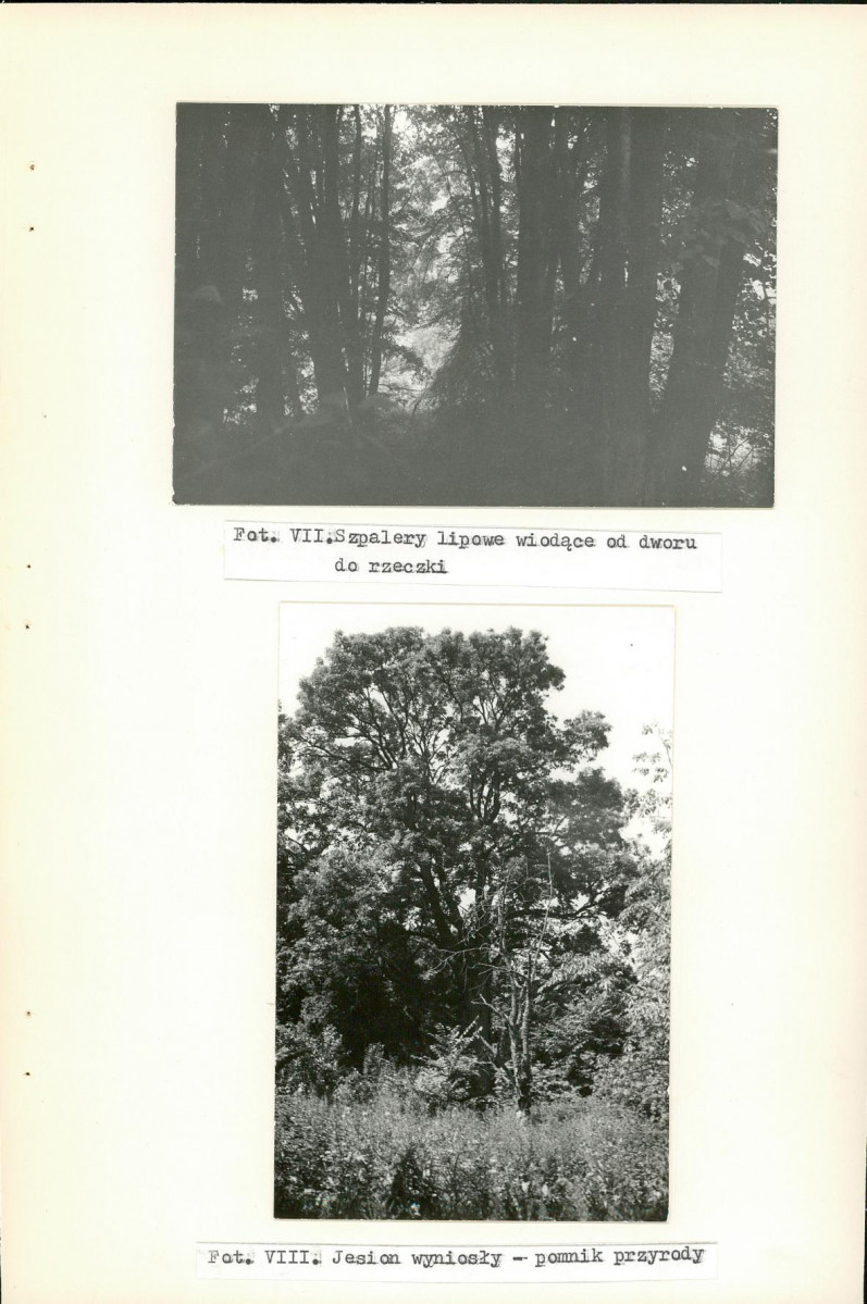 Ewidencja parkowa, skan nr 36