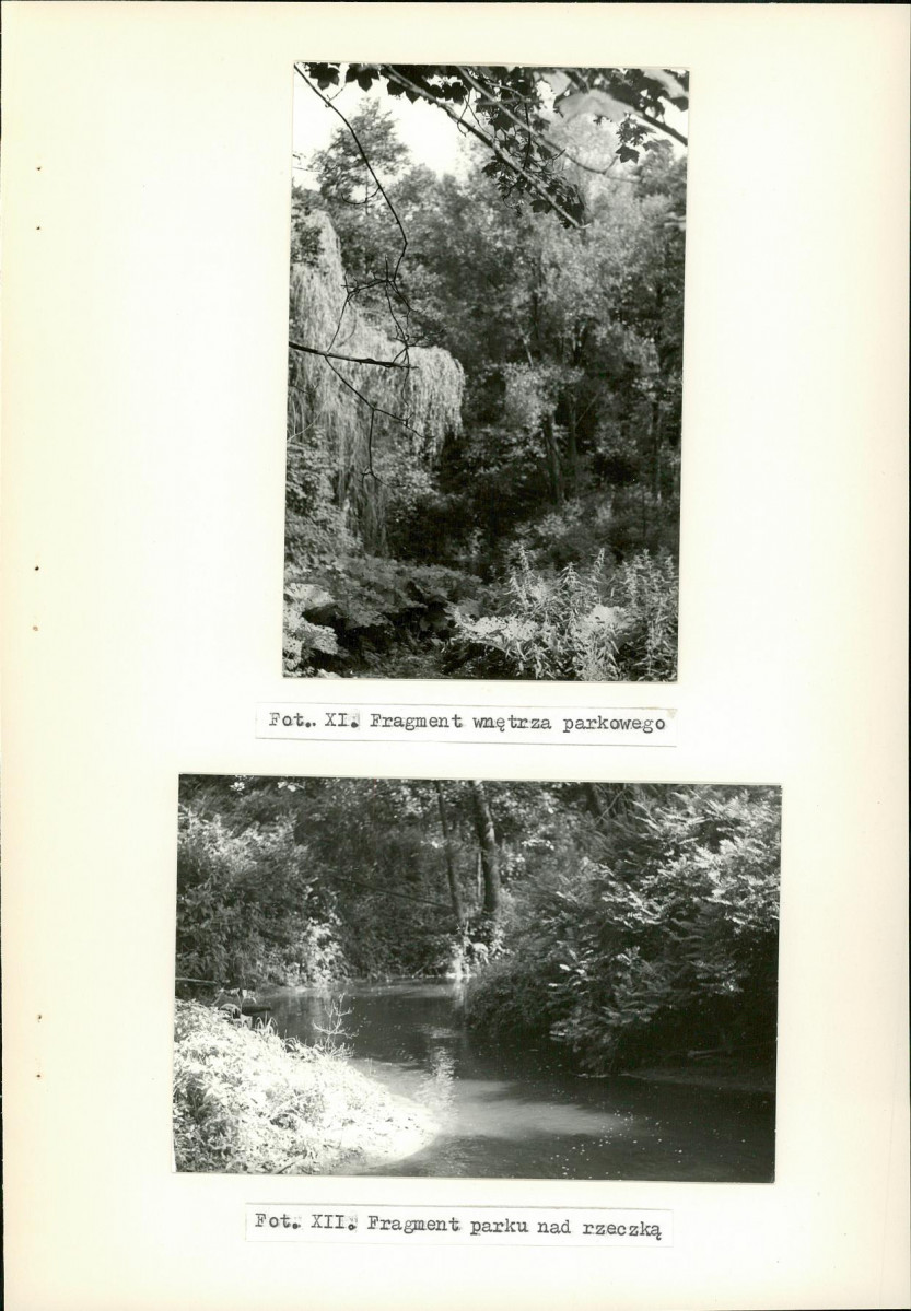 Ewidencja parkowa, skan nr 38