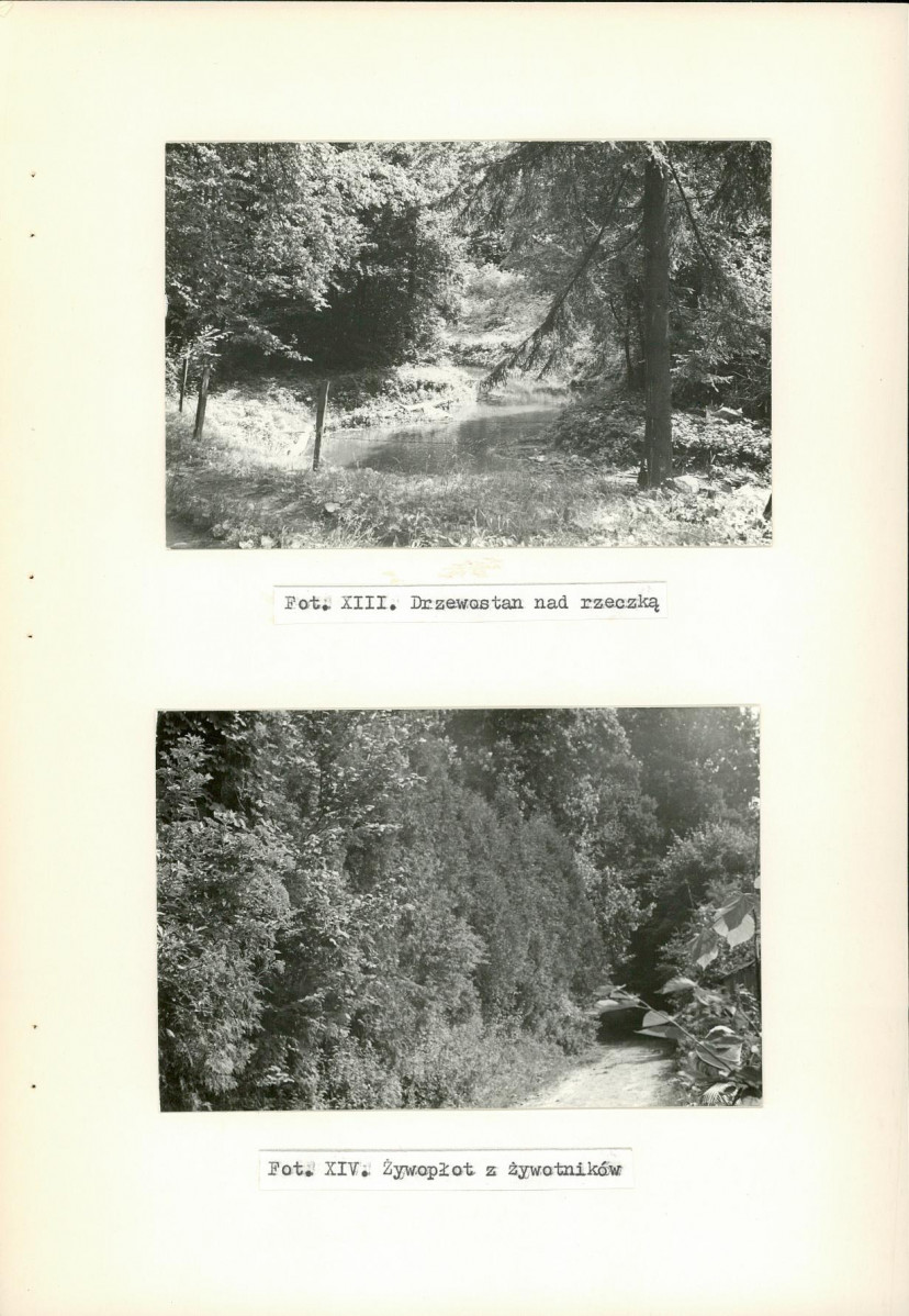 Ewidencja parkowa, skan nr 39