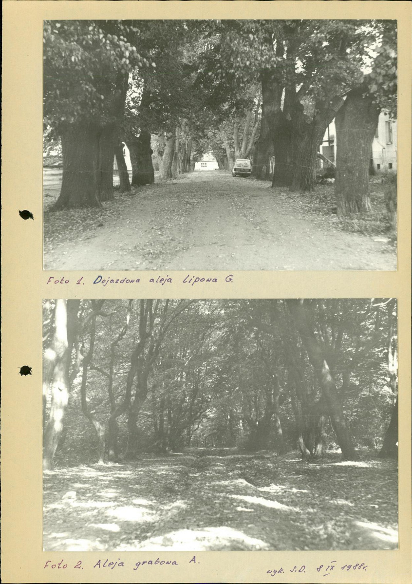Ewidencja parkowa, skan nr 40