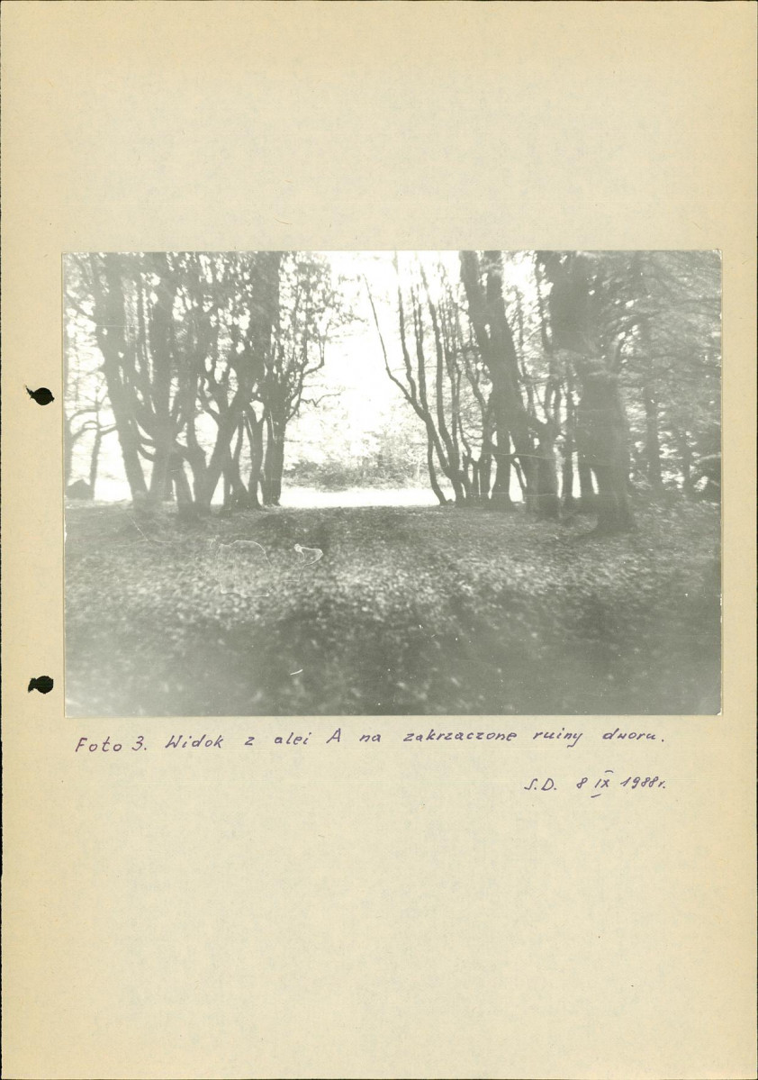 Ewidencja parkowa, skan nr 41