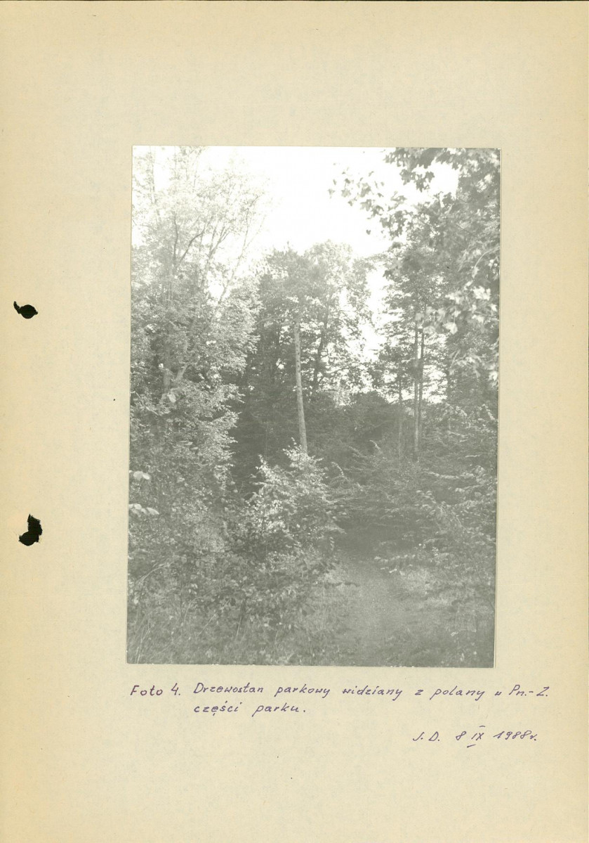 Ewidencja parkowa, skan nr 42