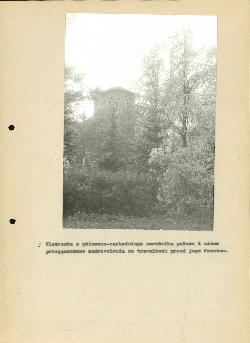 Ewidencja parkowa, skan nr 45