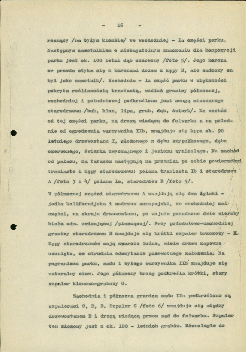 Ewidencja parkowa, skan nr 26