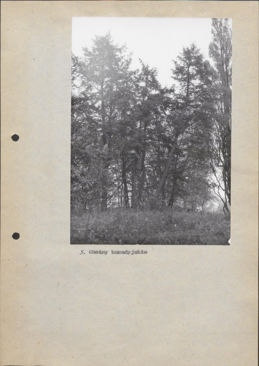 Ewidencja parkowa, skan nr 39