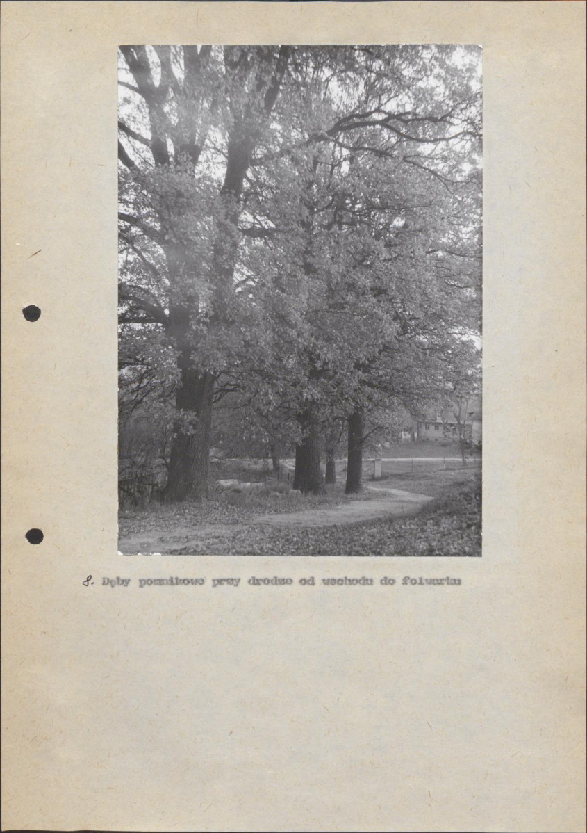 Ewidencja parkowa, skan nr 42