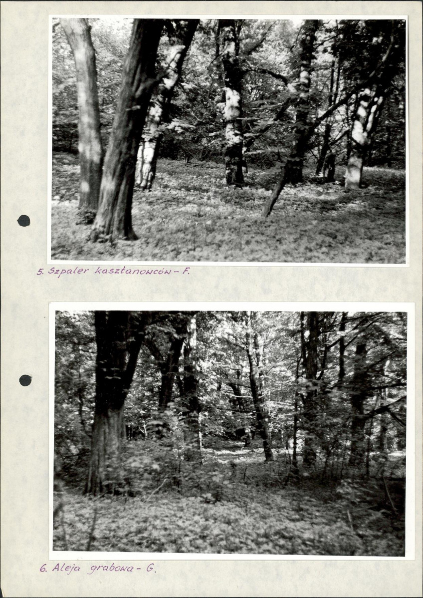 Ewidencja parkowa, skan nr 46