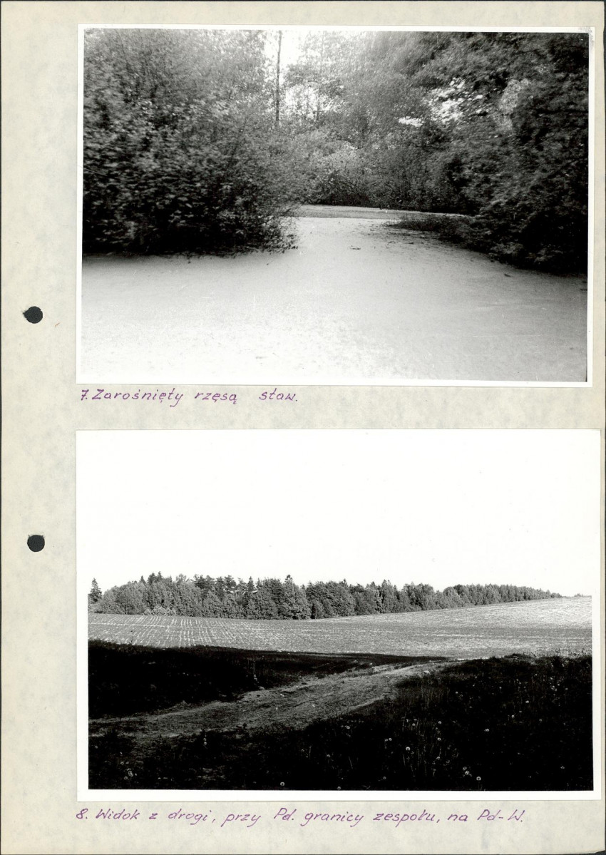 Ewidencja parkowa, skan nr 47