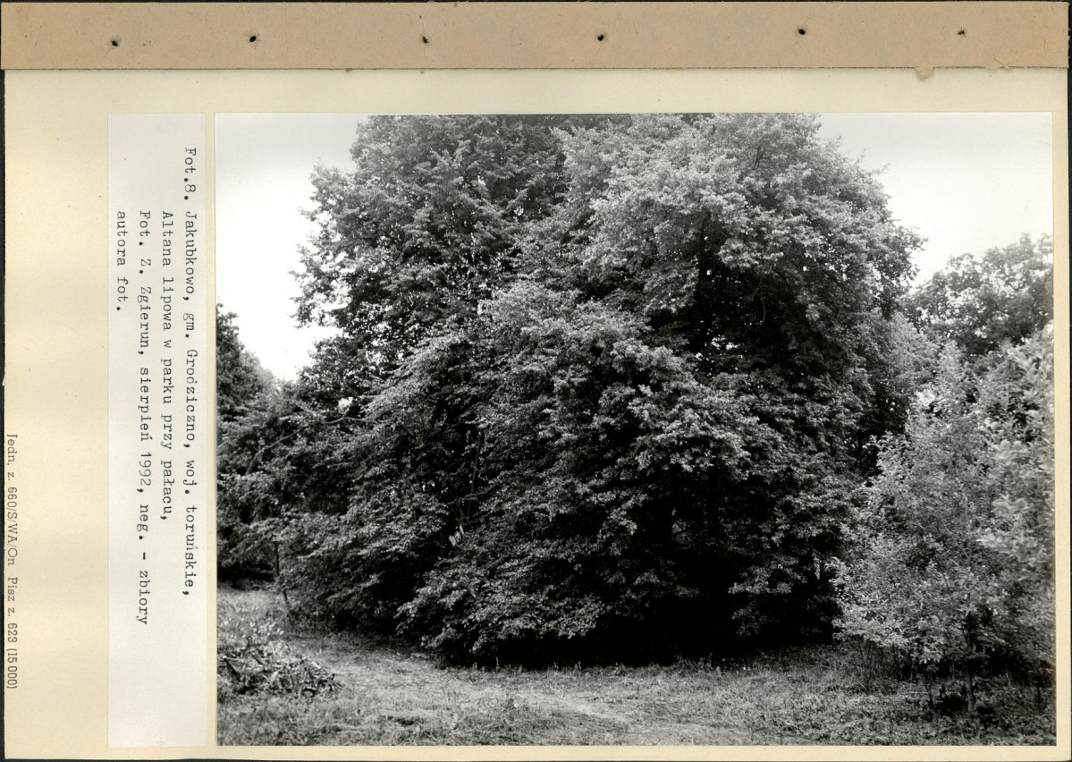 Ewidencja parkowa, skan nr 41