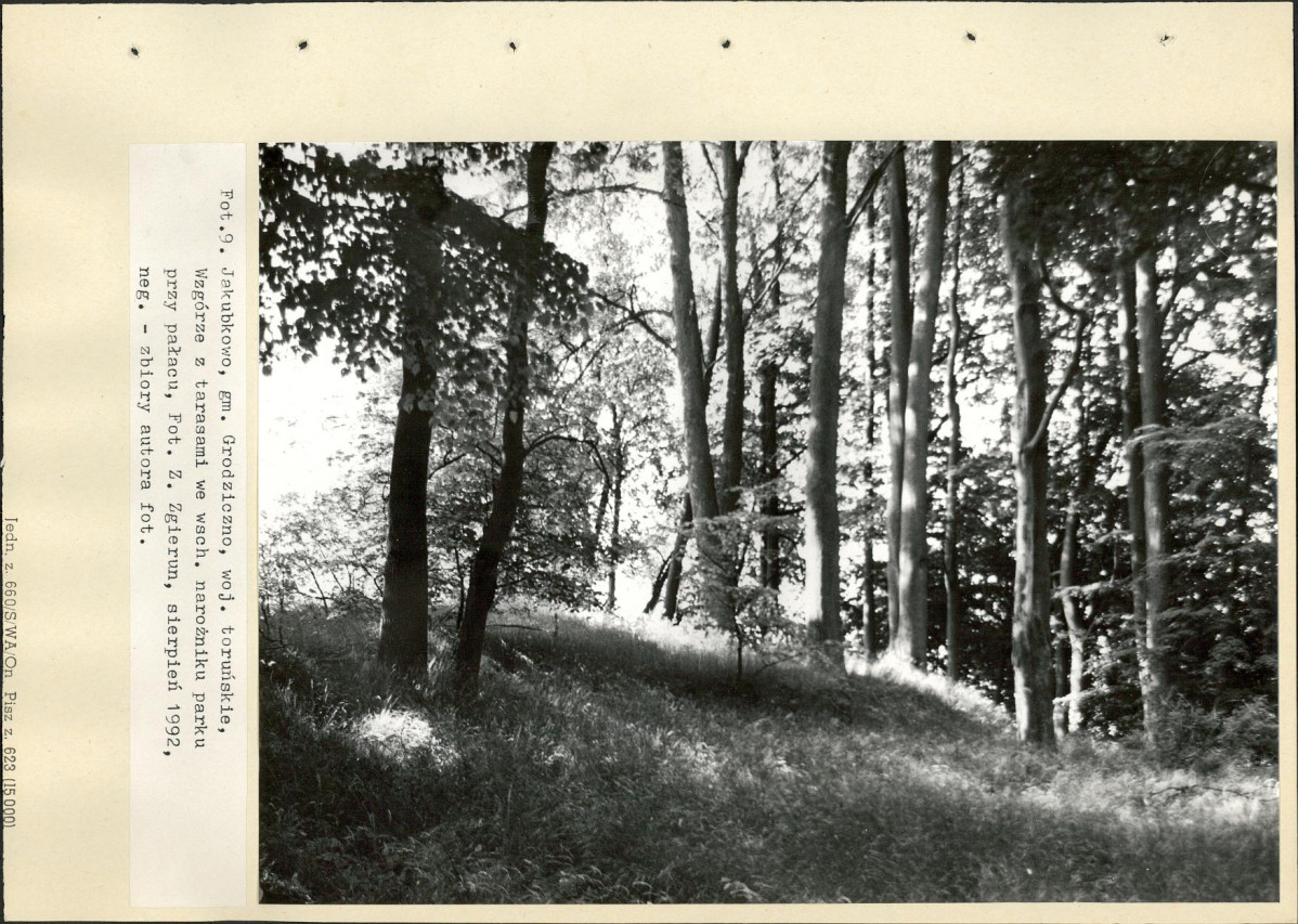 Ewidencja parkowa, skan nr 42