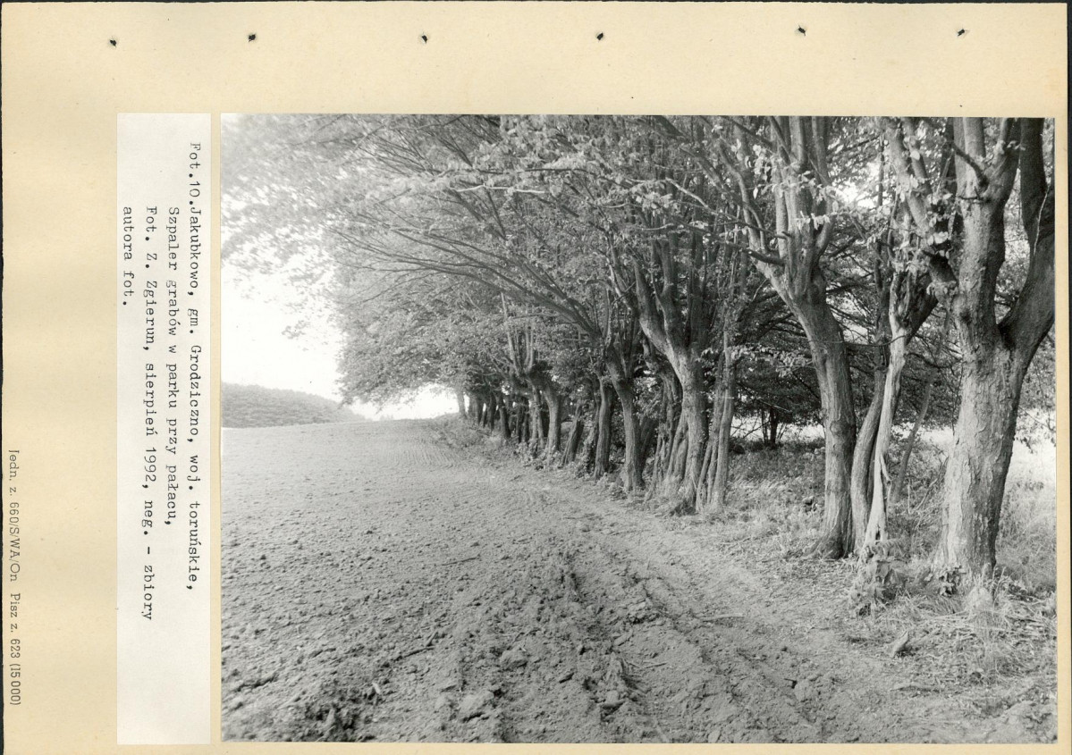 Ewidencja parkowa, skan nr 43