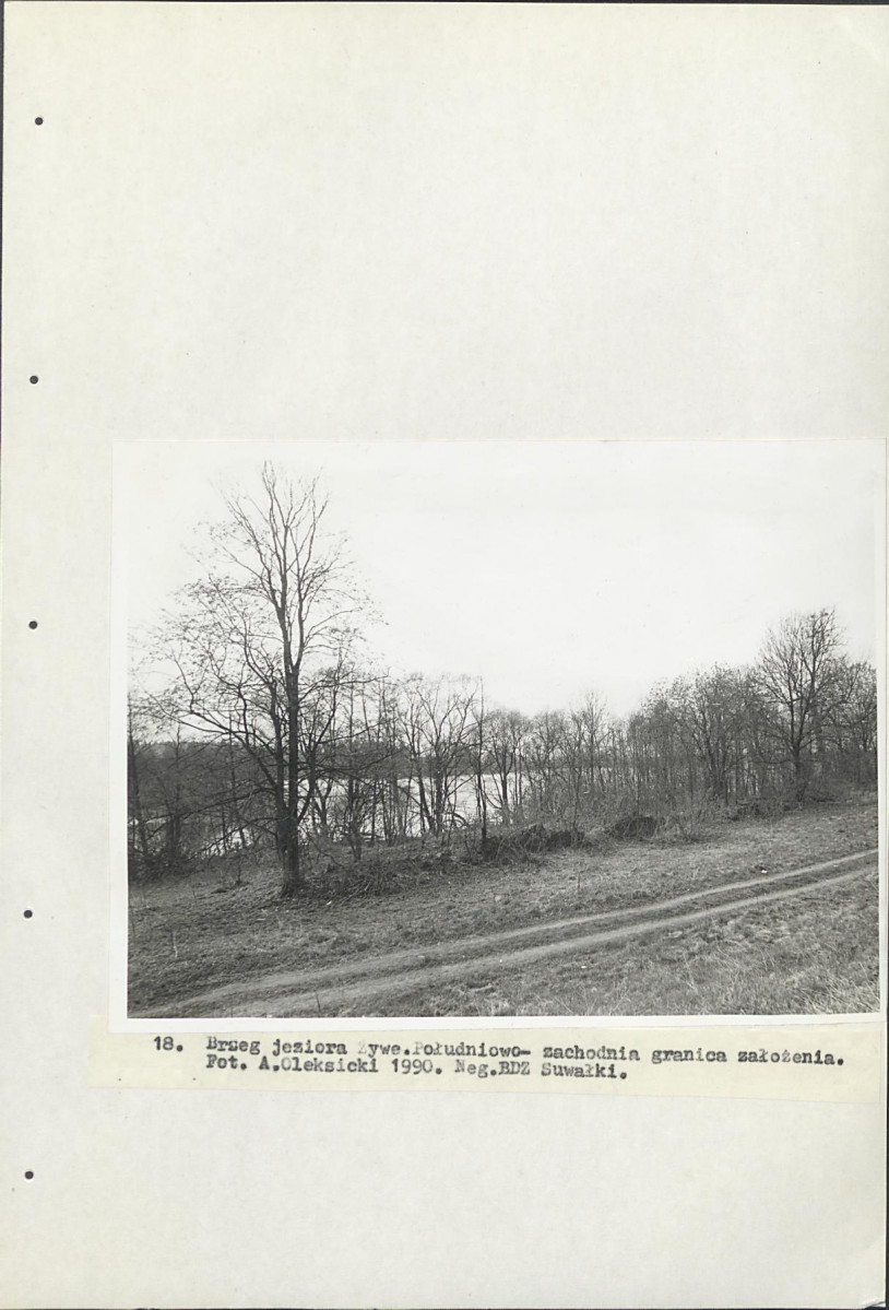 Ewidencja parkowa, skan nr 33