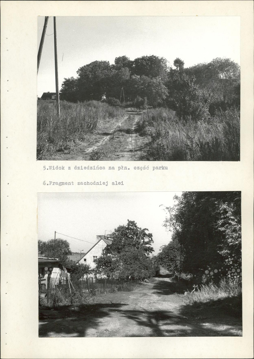 Ewidencja parkowa, skan nr 29