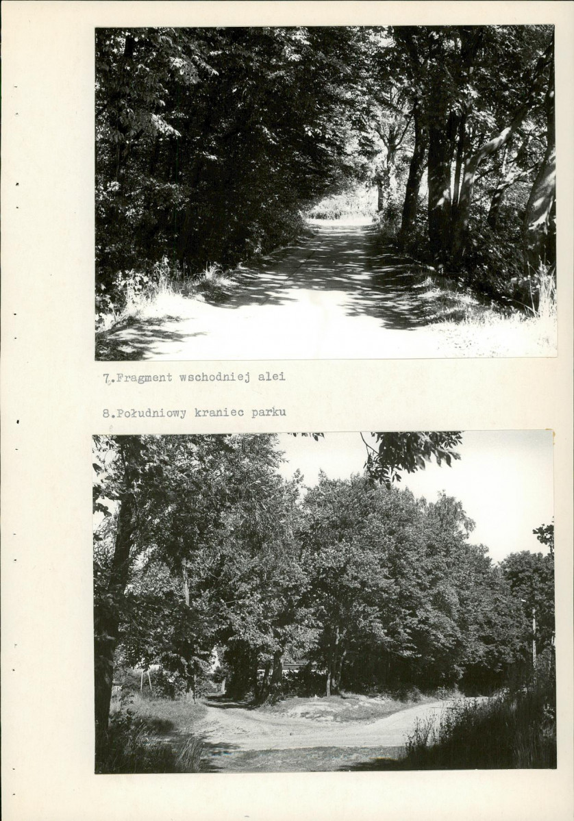 Ewidencja parkowa, skan nr 30