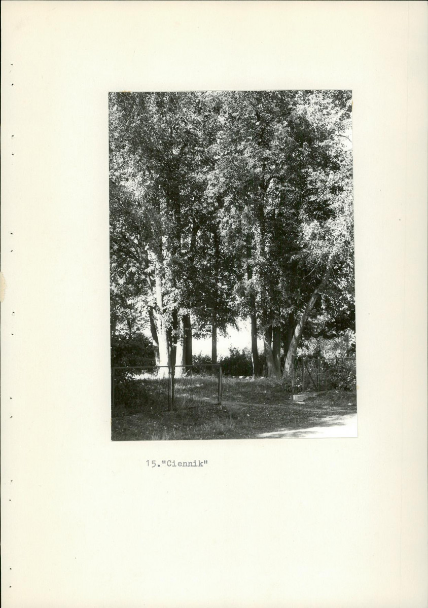 Ewidencja parkowa, skan nr 35