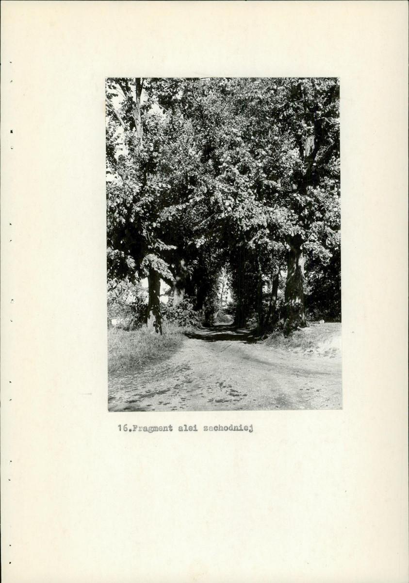 Ewidencja parkowa, skan nr 36