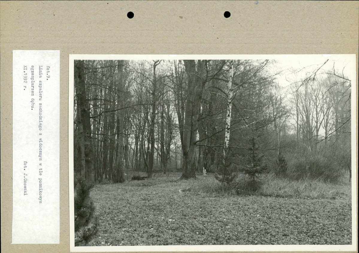 Ewidencja parkowa, skan nr 33