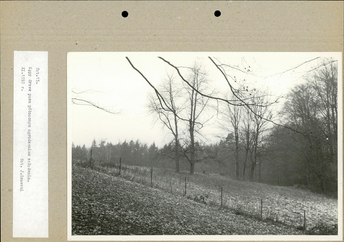 Ewidencja parkowa, skan nr 39