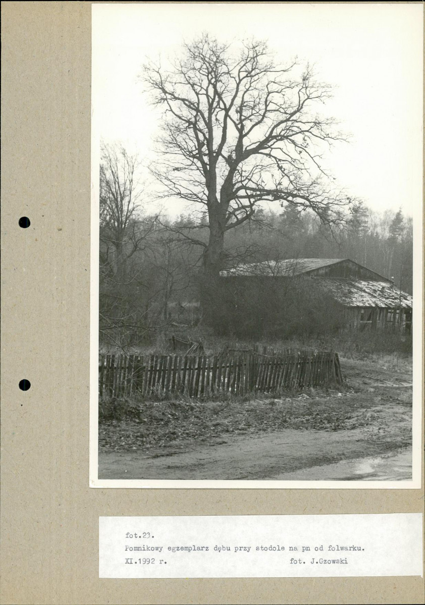 Ewidencja parkowa, skan nr 47