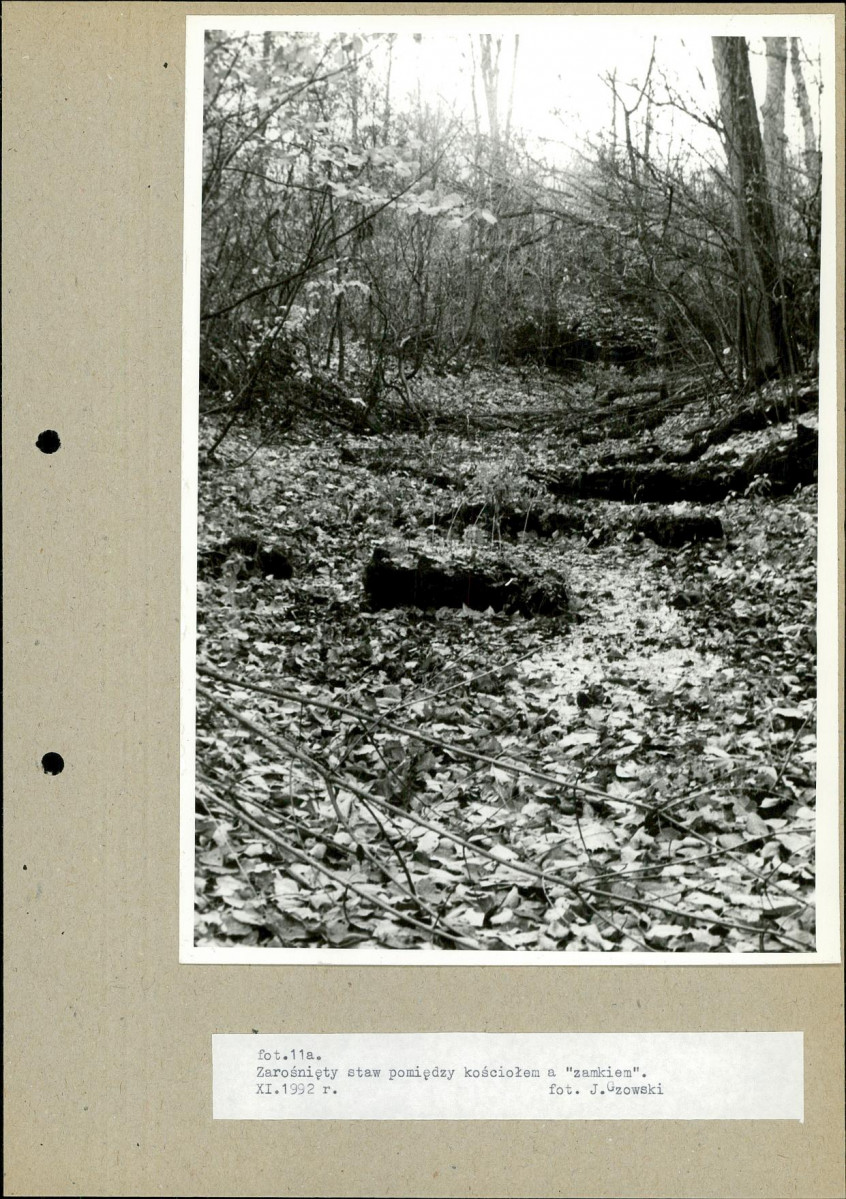 Ewidencja parkowa, skan nr 35