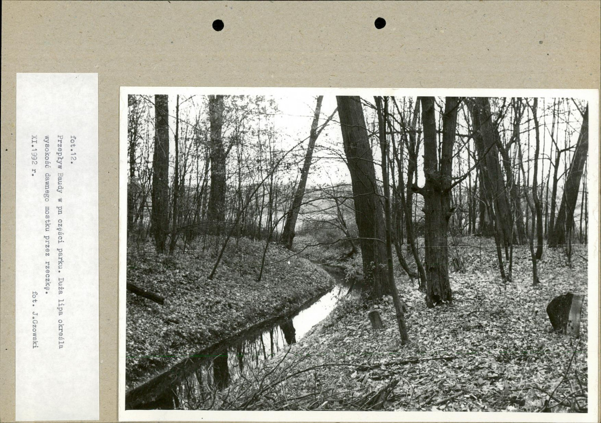 Ewidencja parkowa, skan nr 36
