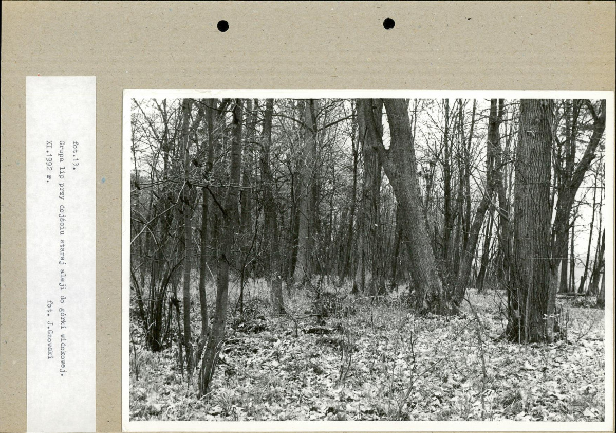 Ewidencja parkowa, skan nr 37