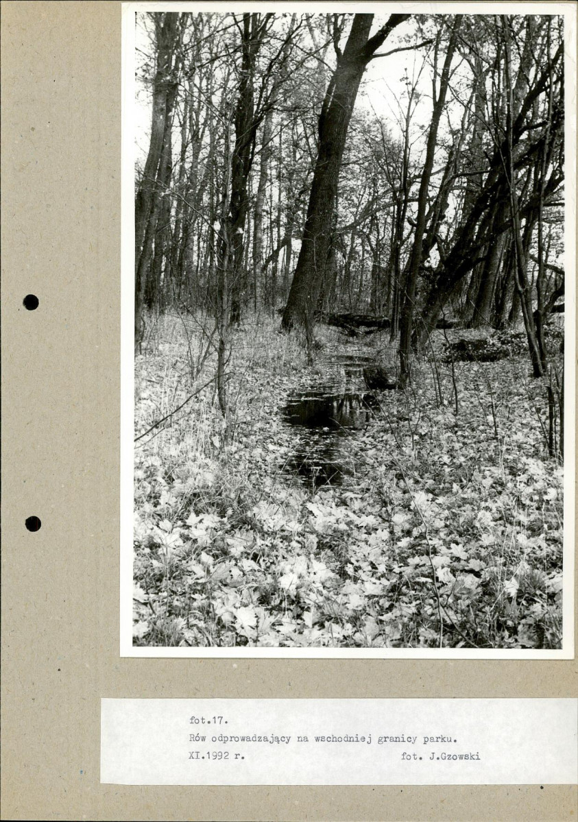 Ewidencja parkowa, skan nr 41
