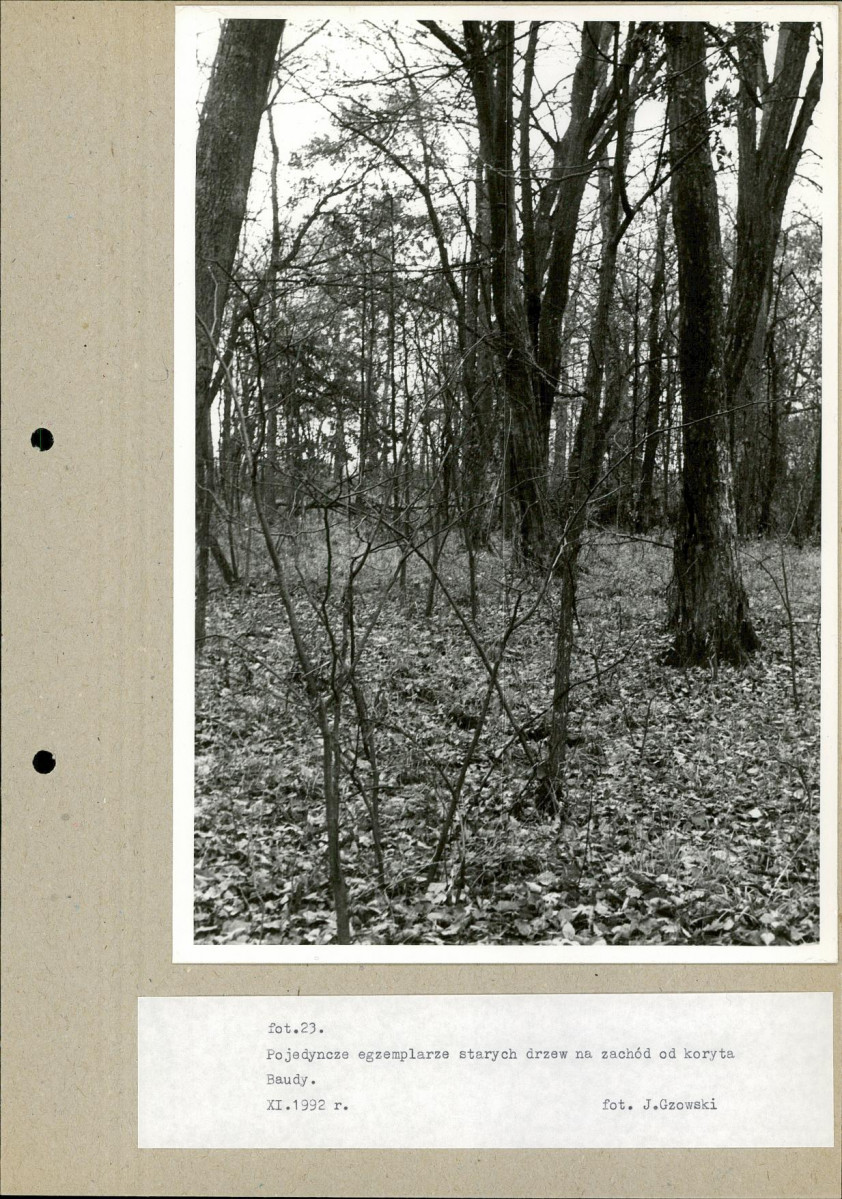 Ewidencja parkowa, skan nr 47