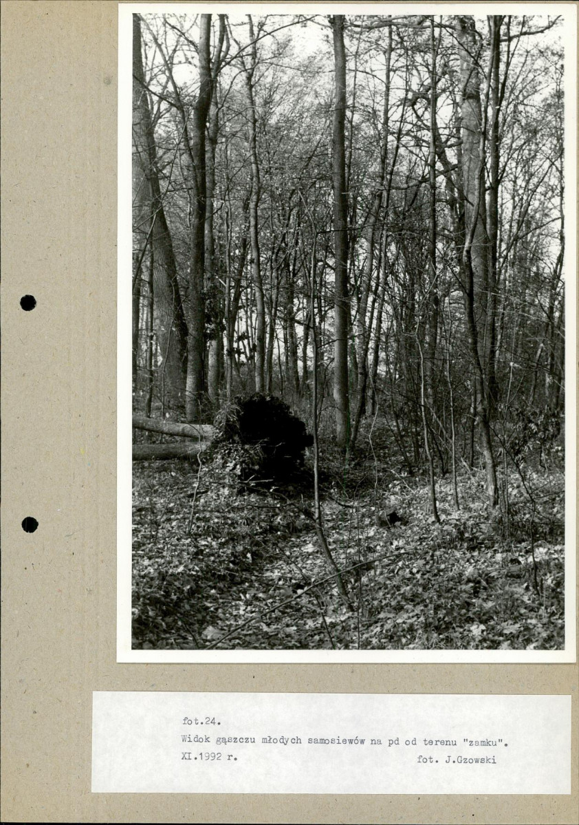 Ewidencja parkowa, skan nr 48
