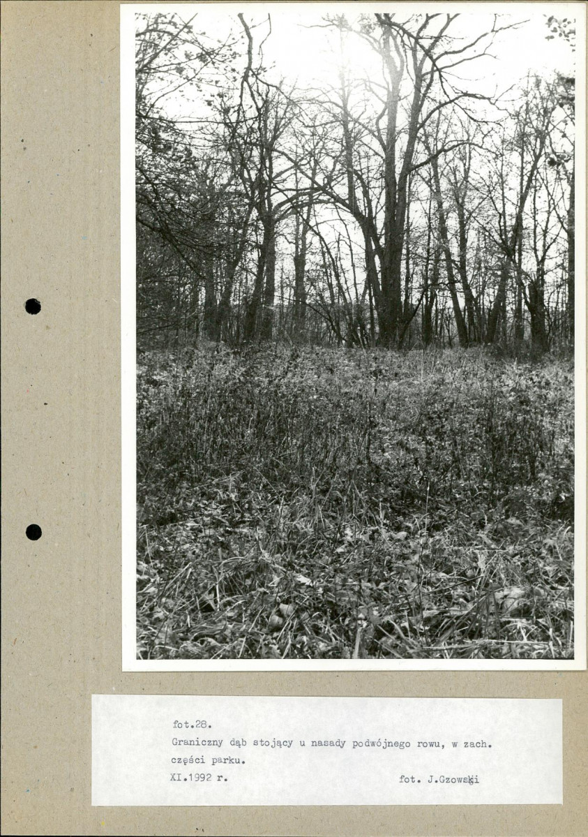 Ewidencja parkowa, skan nr 52