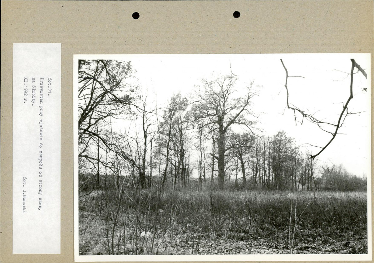 Ewidencja parkowa, skan nr 55