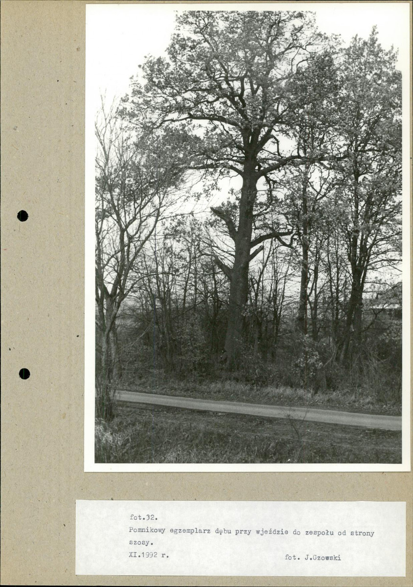 Ewidencja parkowa, skan nr 56