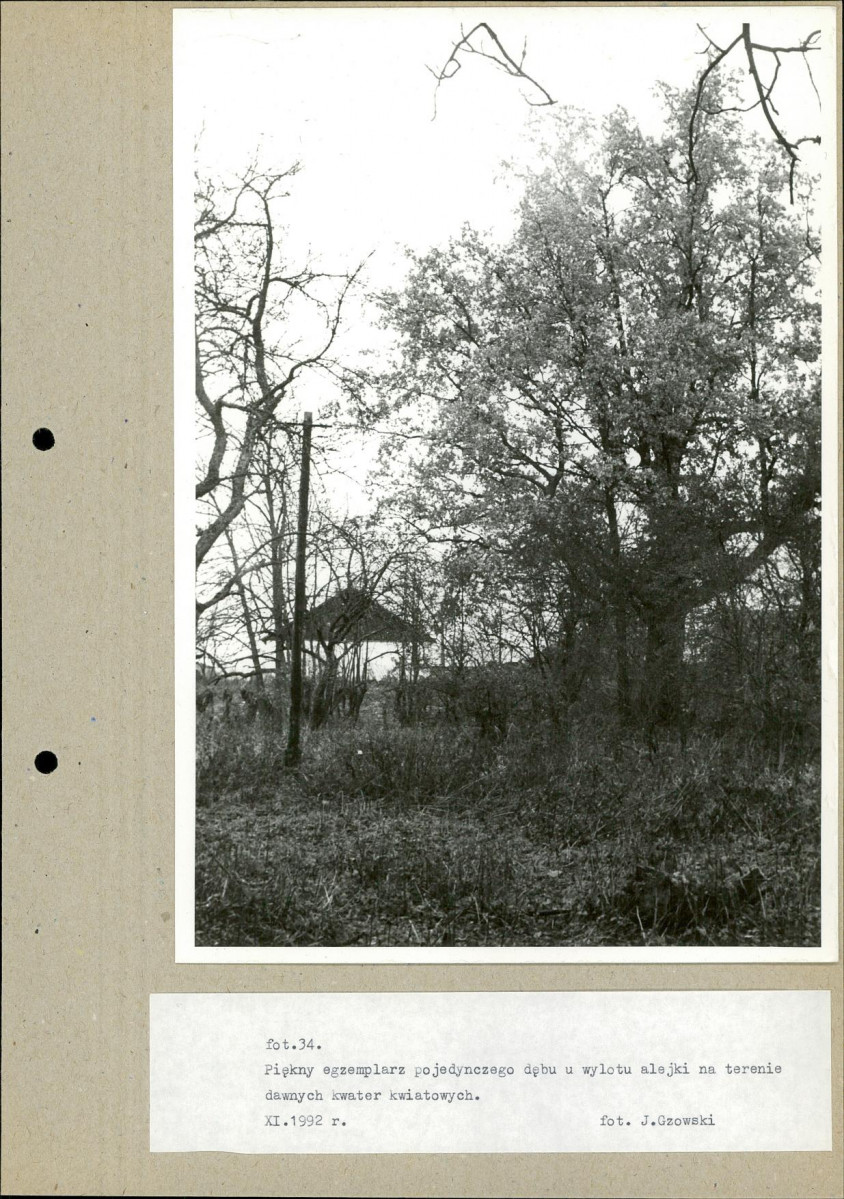 Ewidencja parkowa, skan nr 58