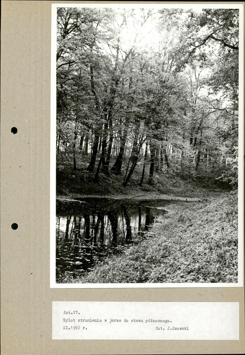 EP - Ewidencja parkowa, skan nr 46