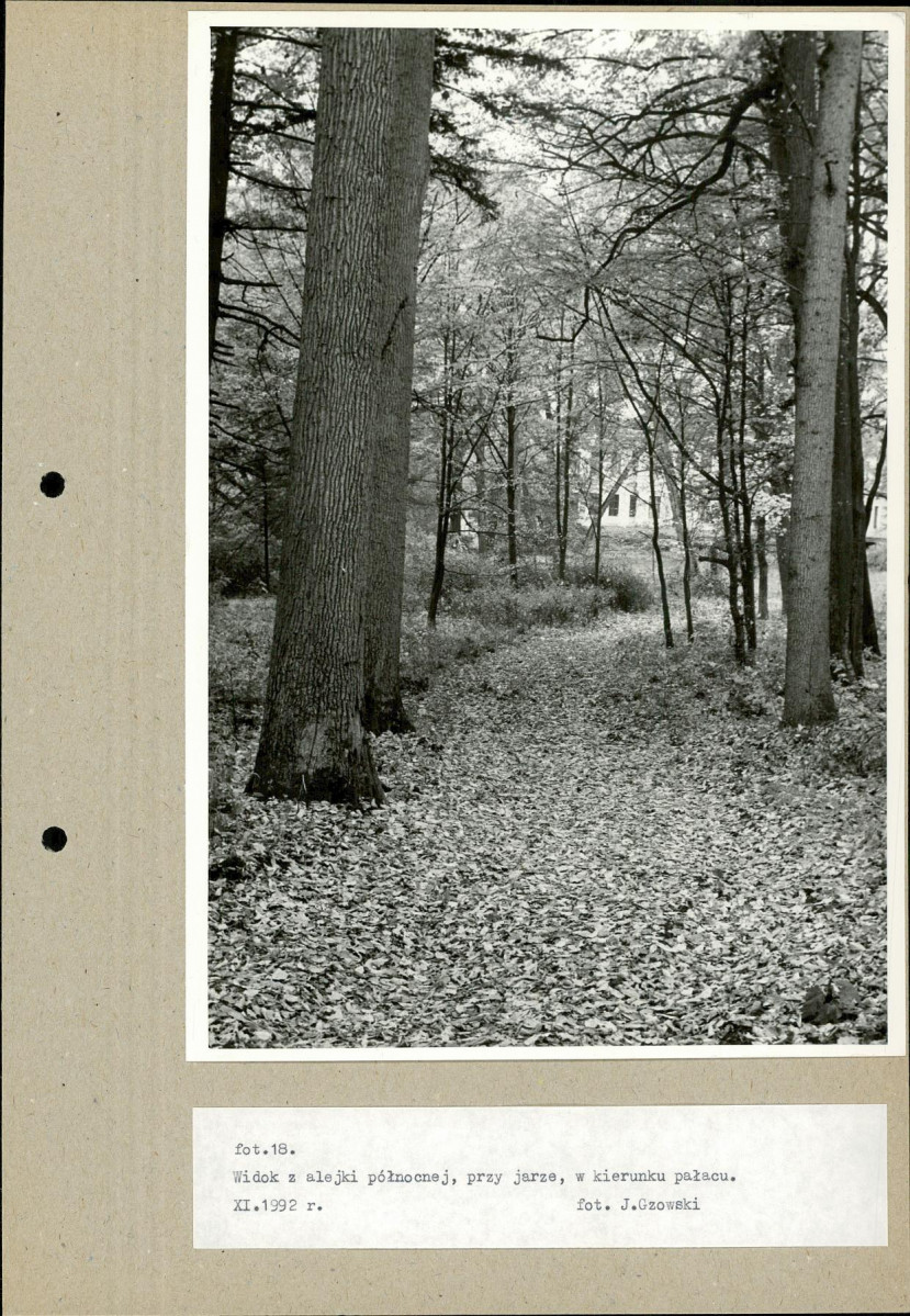 EP - Ewidencja parkowa, skan nr 47