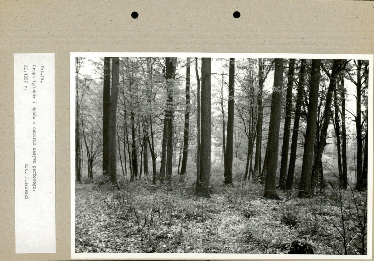 EP - Ewidencja parkowa, skan nr 48