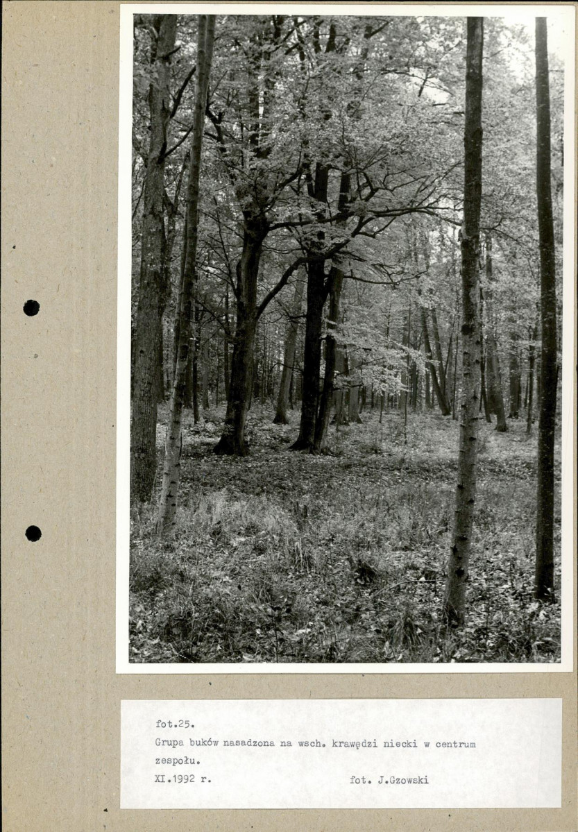 EP - Ewidencja parkowa, skan nr 54